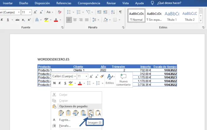 Pegar tabla de Excel en Word como imagen