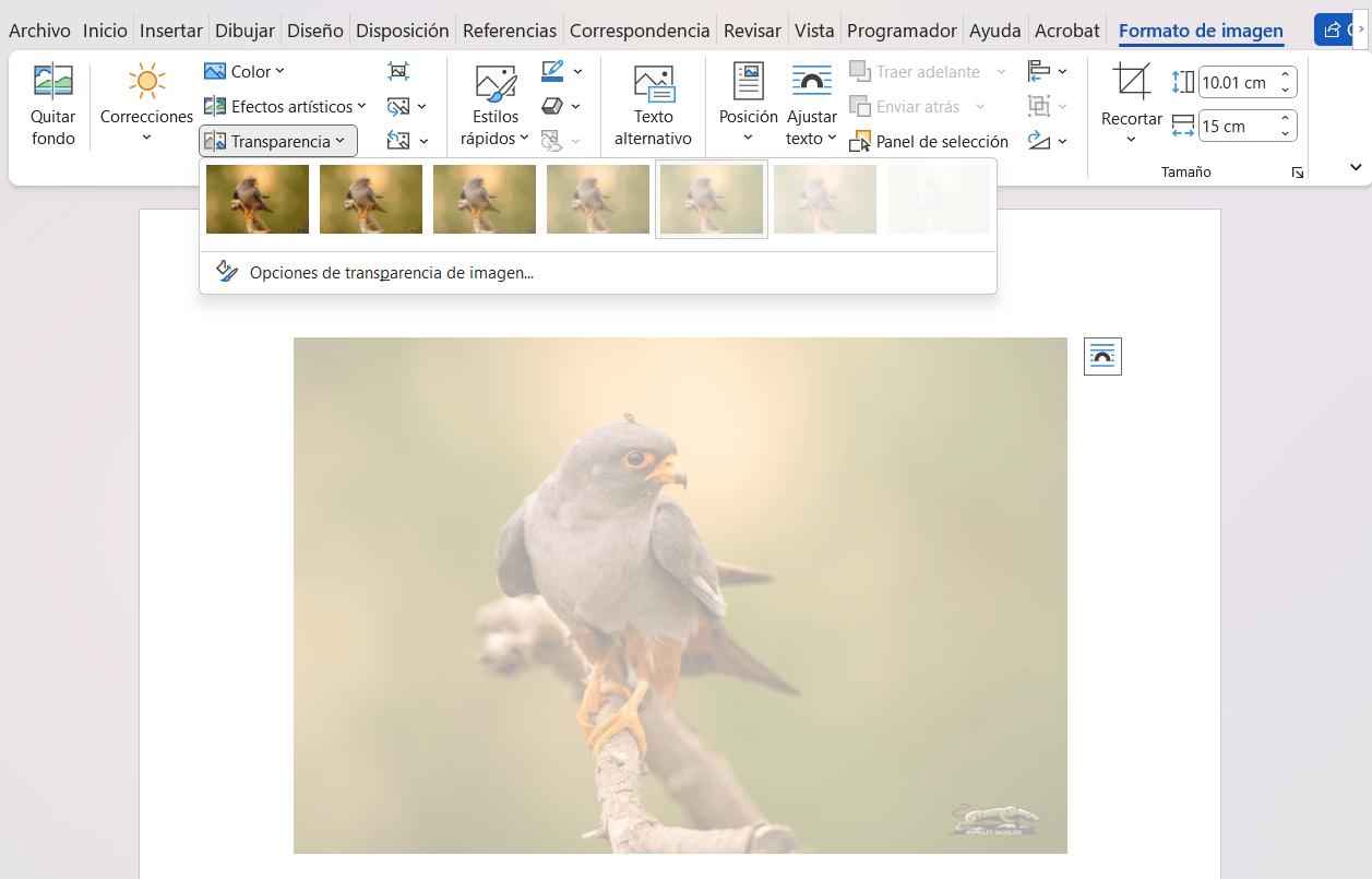 Ejemplo de transparencia de imagen en Word