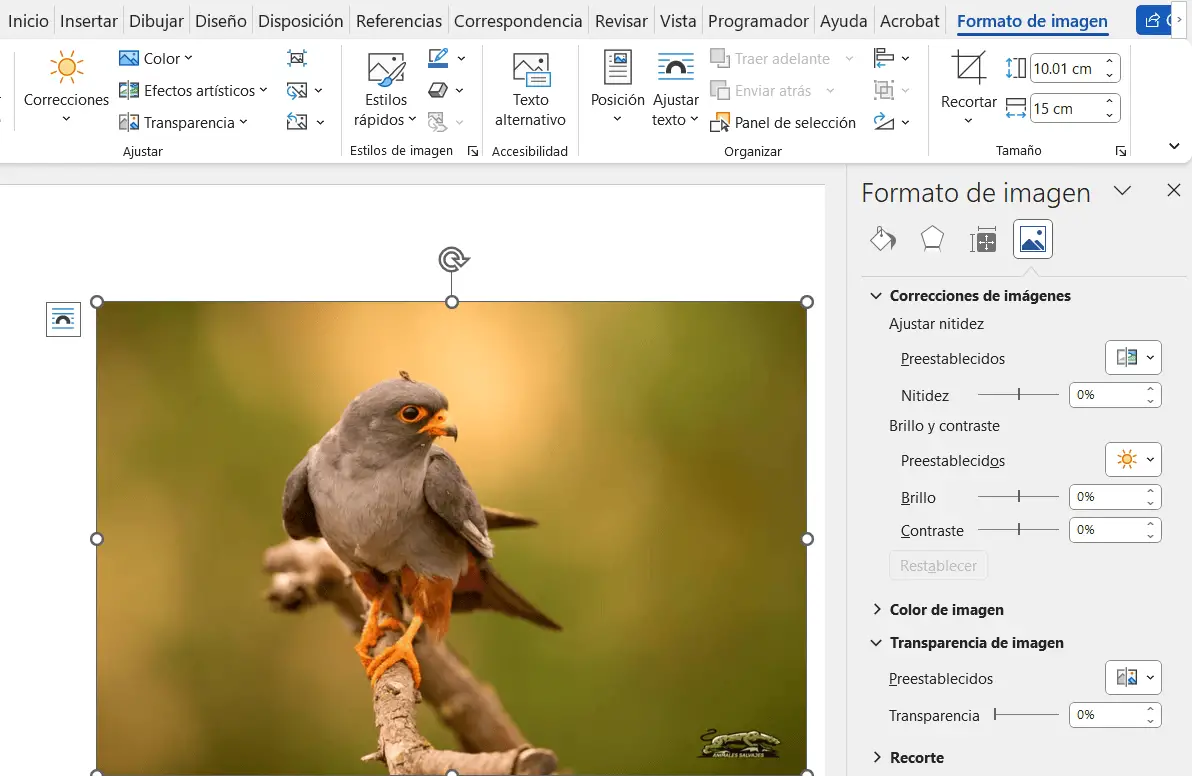 Opciones de transparencia de imagen en Word